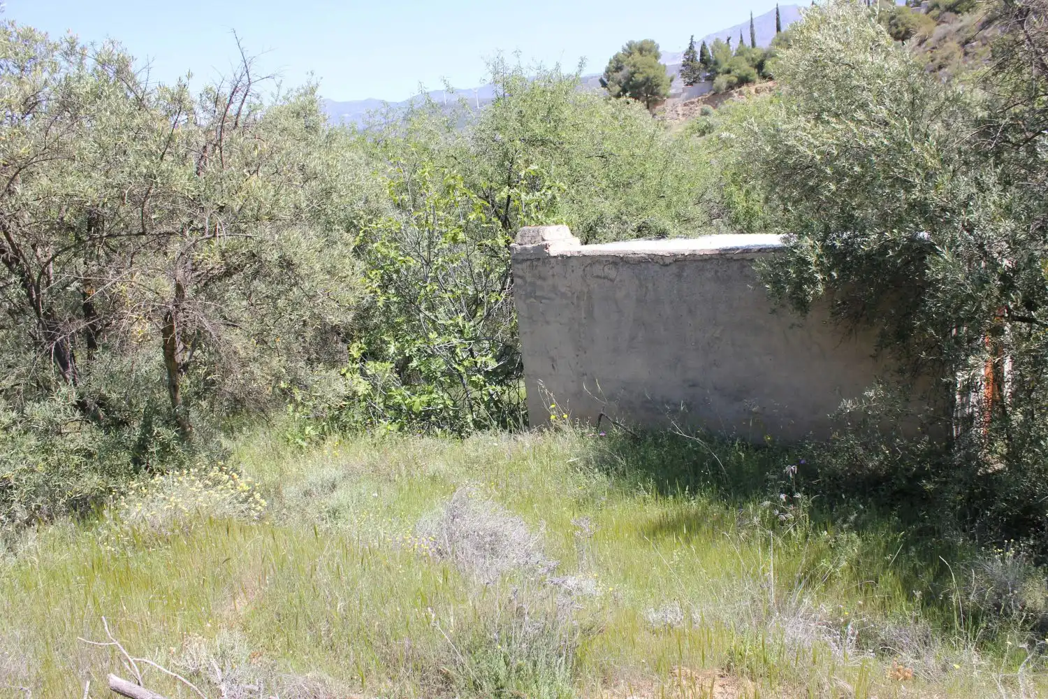 Terreni e lotti in vendita a andalucia, imagen 2