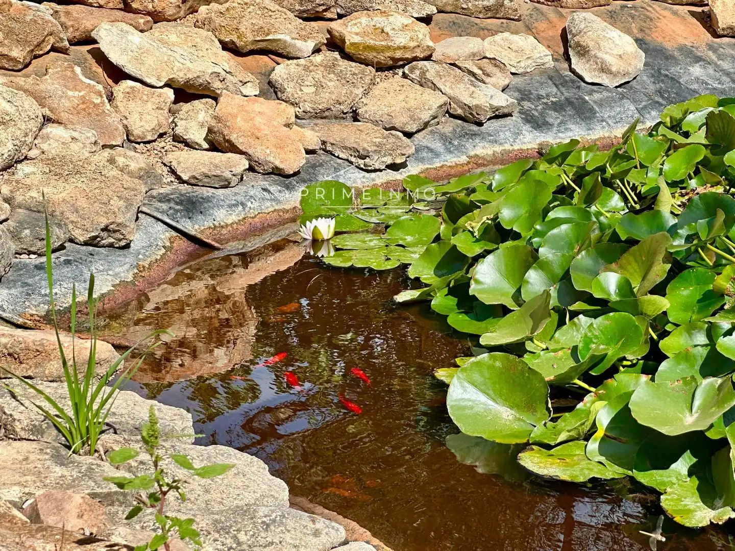Jardín de Finca rústica en venta en Camarles con Calefacción, Terraza y Trastero