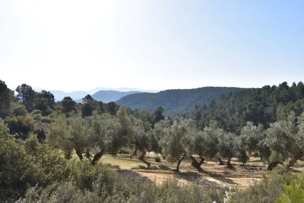 Country homes for sale in La Fresneda