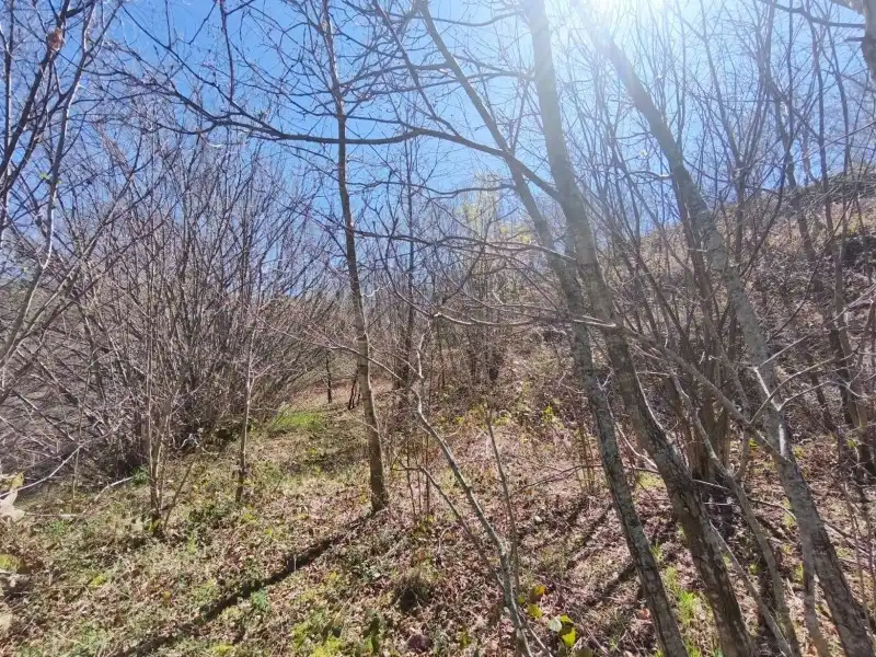 Terreni e lotti in vendita a Rionansa, imagen 11