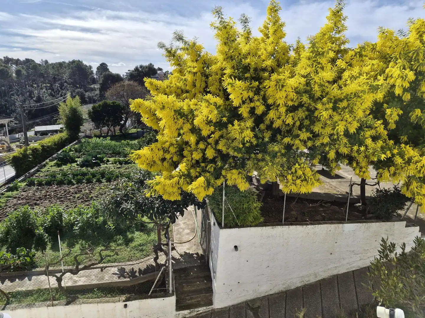 Jardín de Casa o chalet en venta en Lliçà d'Amunt con Calefacción y Jardín privado