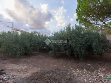 Terreny residencial en venda a Guazamara - Los Lobos