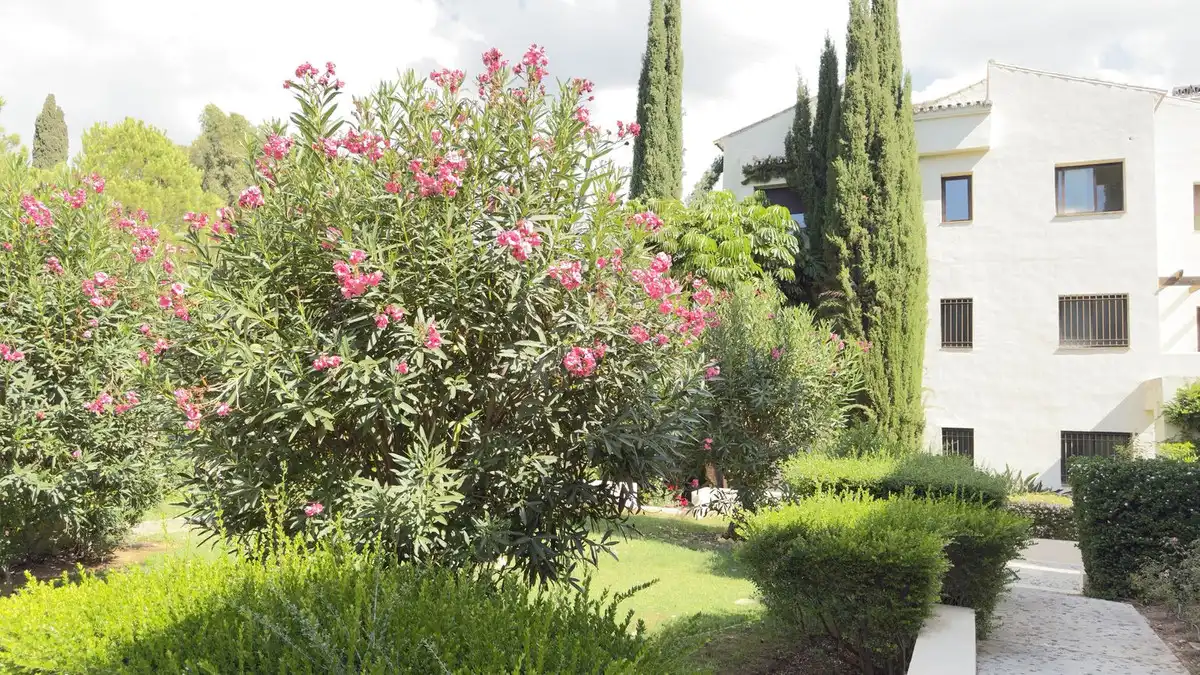 Ático con ascensor en venta en La Quinta, imagen 14