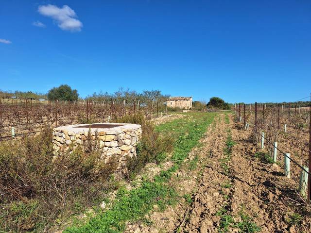 Terreno residencial en Venta en Santa Margalida Poble