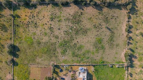 Foto 3 de Finca rústica en venda a Polígono Polígono 11 Parcela 21, Sineu, Illes Balears