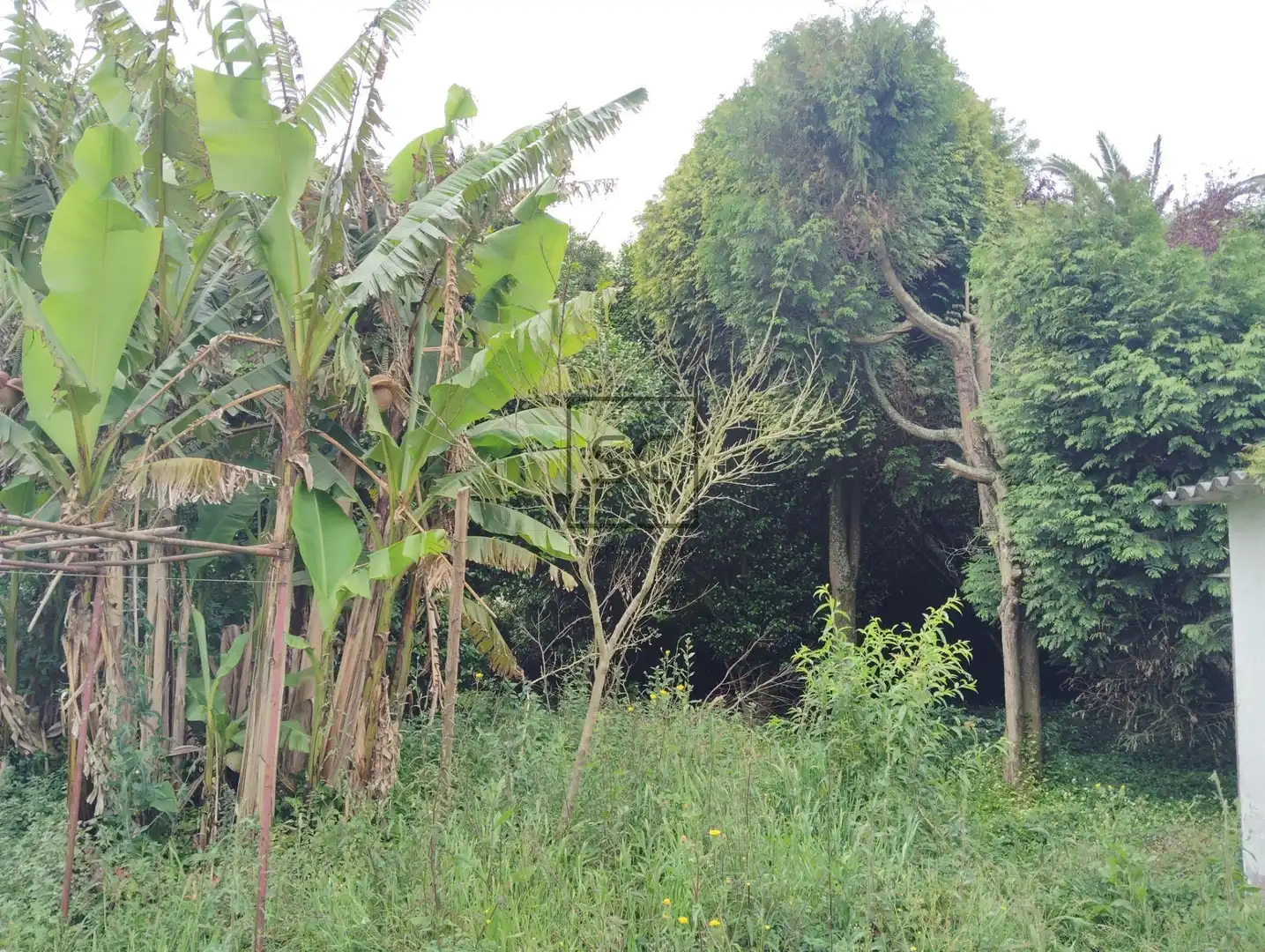 Casa amb jardí en venda a CABALO BRANCO, imagen 11