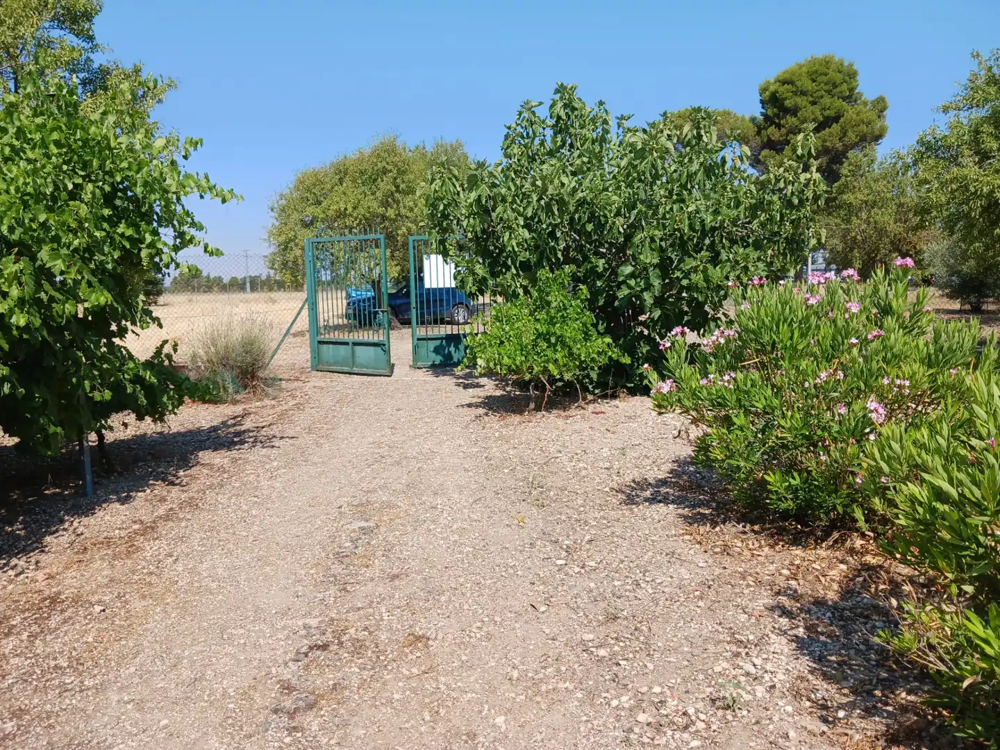 Finca rústica en venta en Ciudad Real con Amueblado