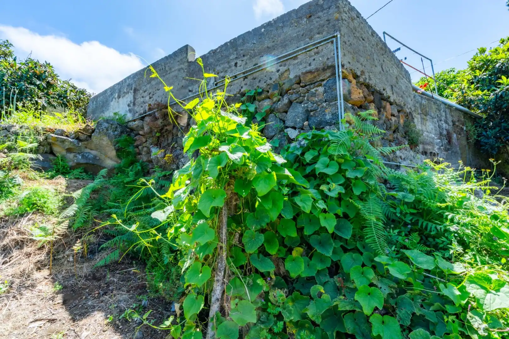 Casa rústica en venta en Icod de los Vinos pueblo, imagen 18