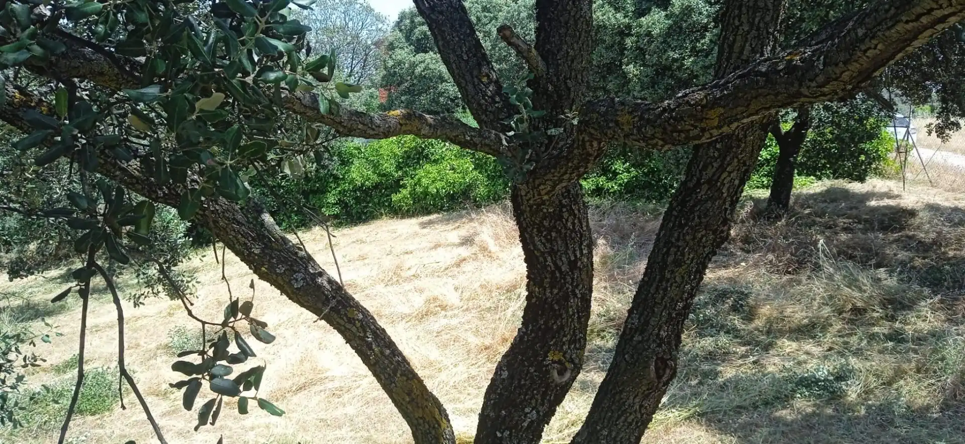 Terreno residenziale in vendita a Avenida el Casar, imagen 9