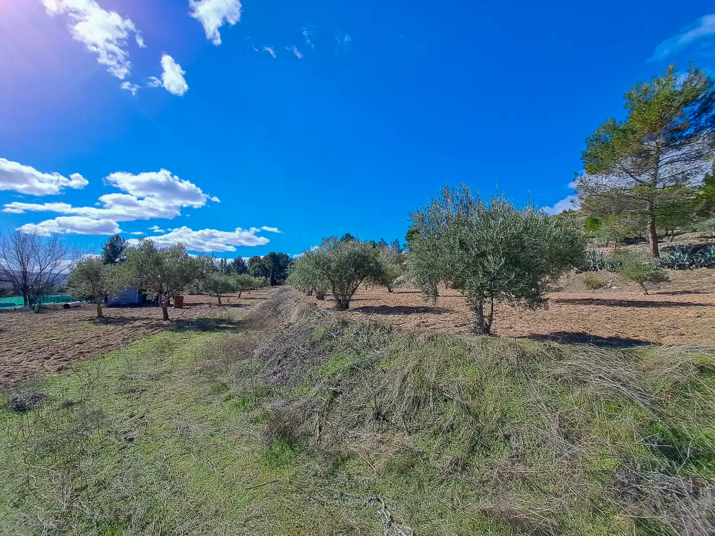 Casa o xalet en venda en Chinchón amb Calefacció, Jardí privat i Terrassa