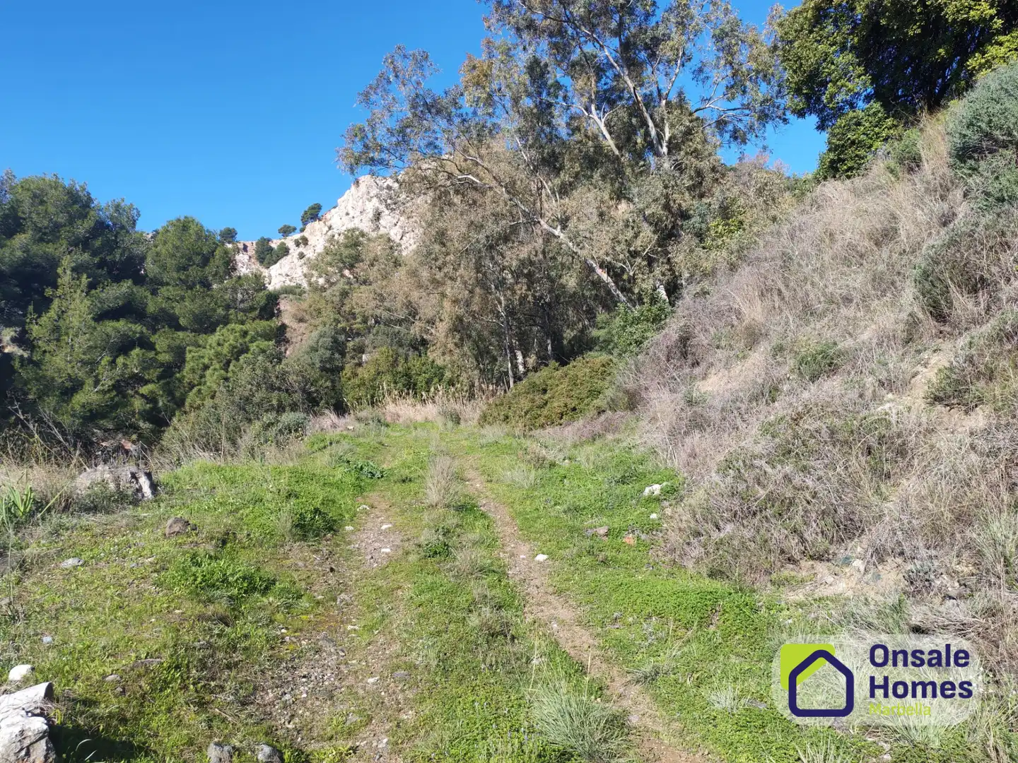 Terreno en venta en Ojén