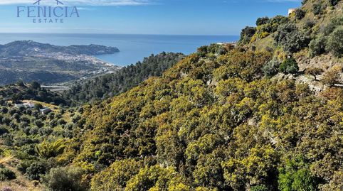 Foto 2 de Finca rústica en venta en El Rescate - Río Seco, Almuñécar