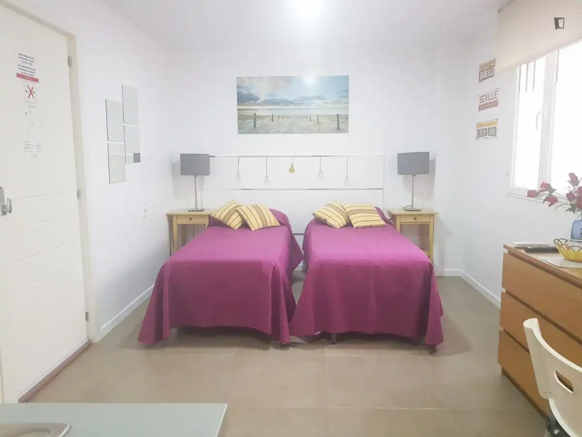 Estudio de alquiler en Mont-Olivet