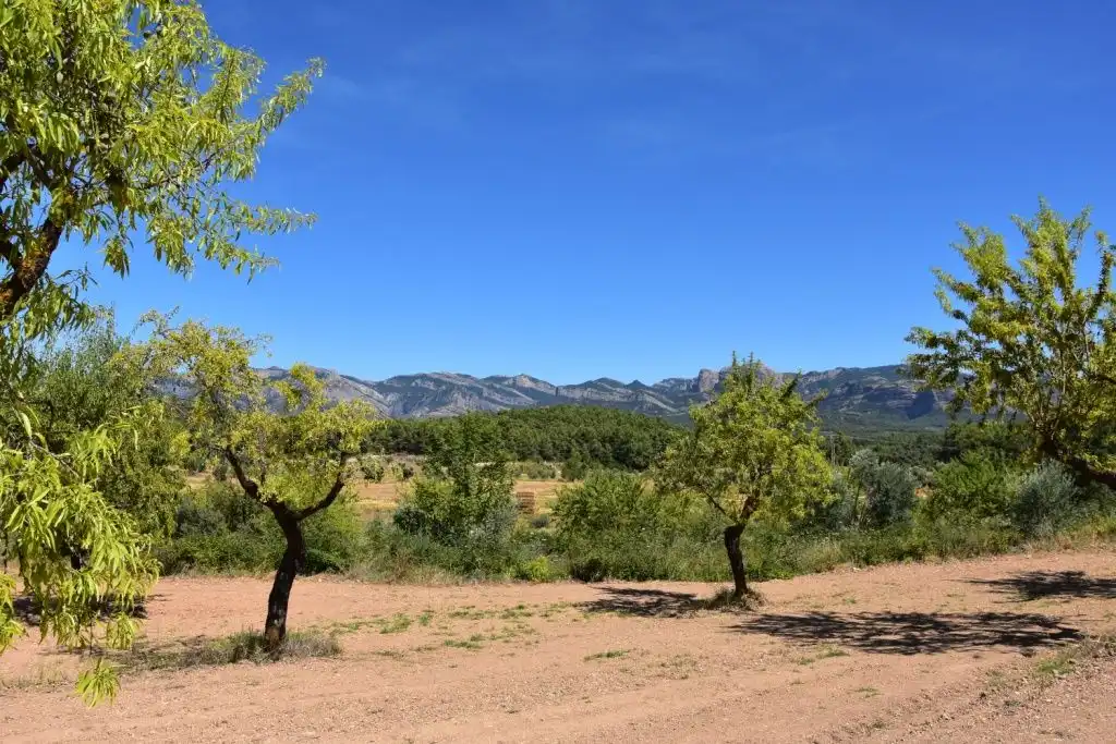 Casa in vendita a Lledó