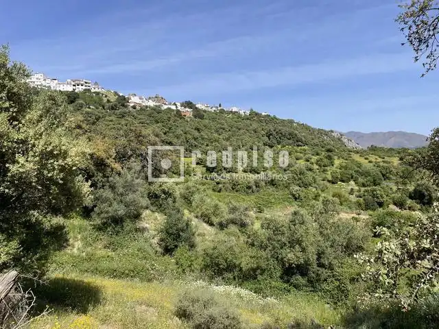 Residential for sale in Gaucín