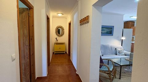 Photo 3 of Houses for rent in Pelagatos - Pago del Humo, Chiclana de la Frontera