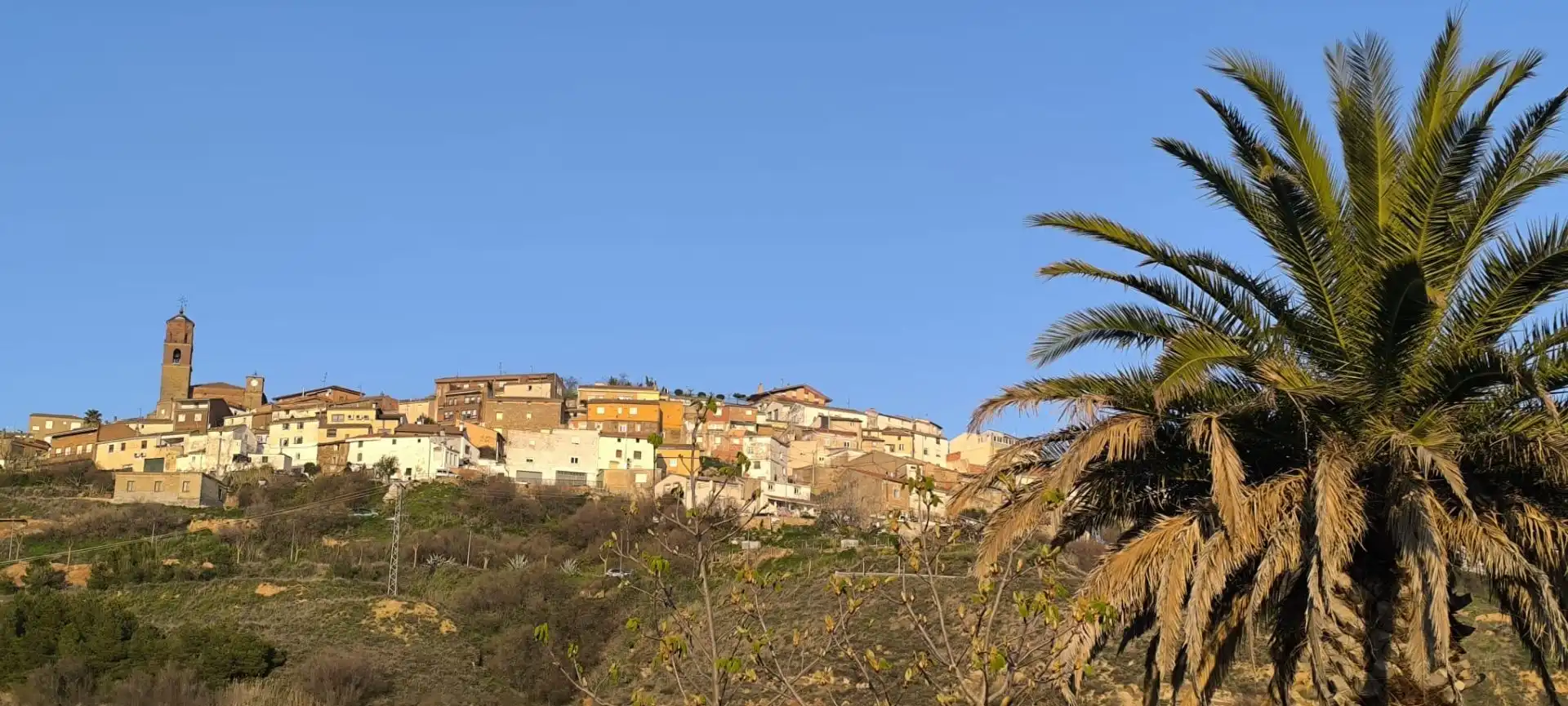 Vista exterior de Casa o xalet en venda en Ausejo amb Jardí privat i Terrassa