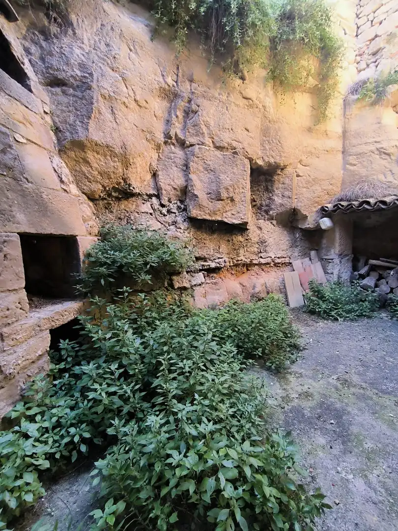 Jardín de Local en venta en L'Albagés