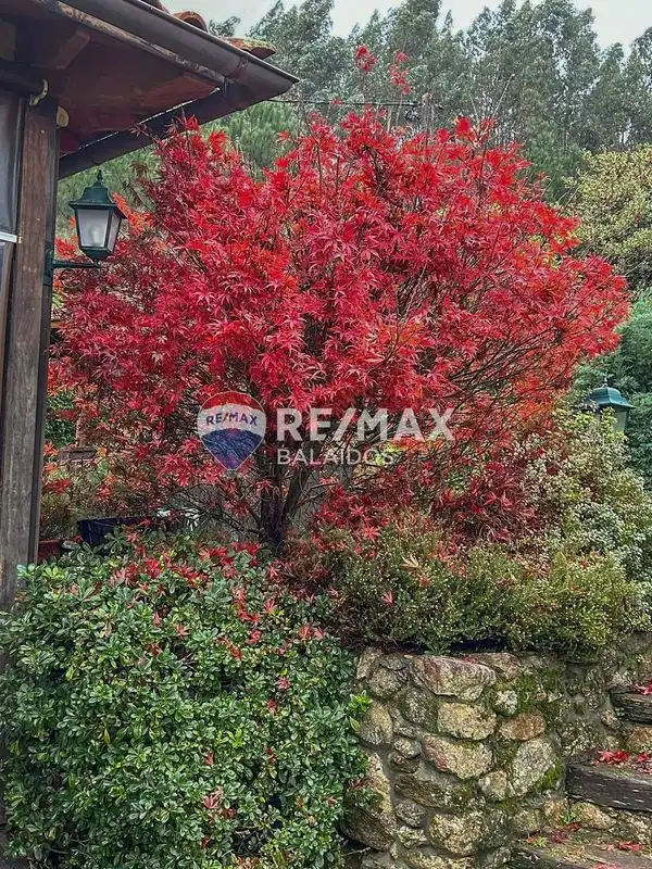 Maison avec jardin à vendre à O Rosal, imagen 5