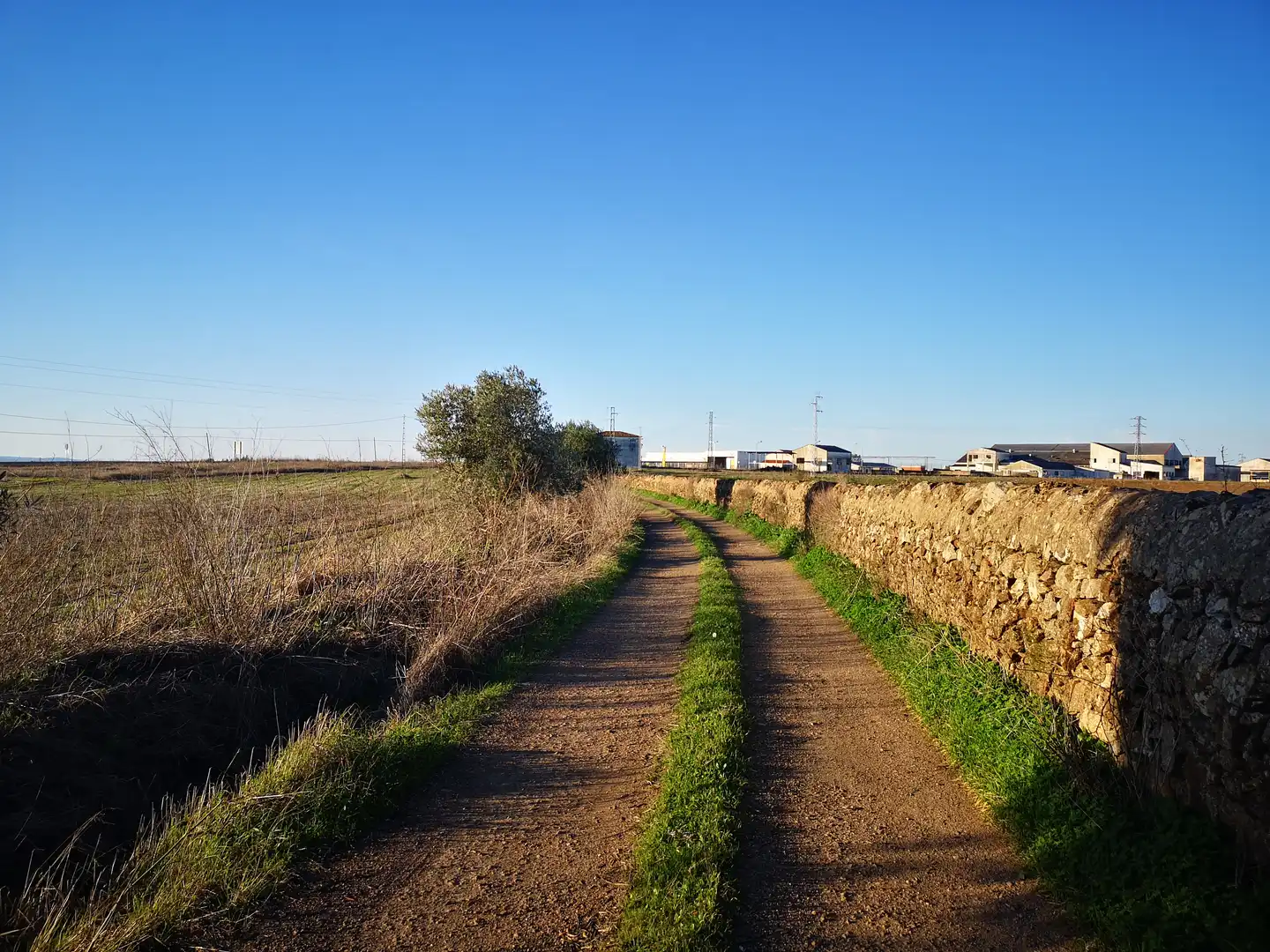 Residencial en venta en Polígono 49, Olivenza