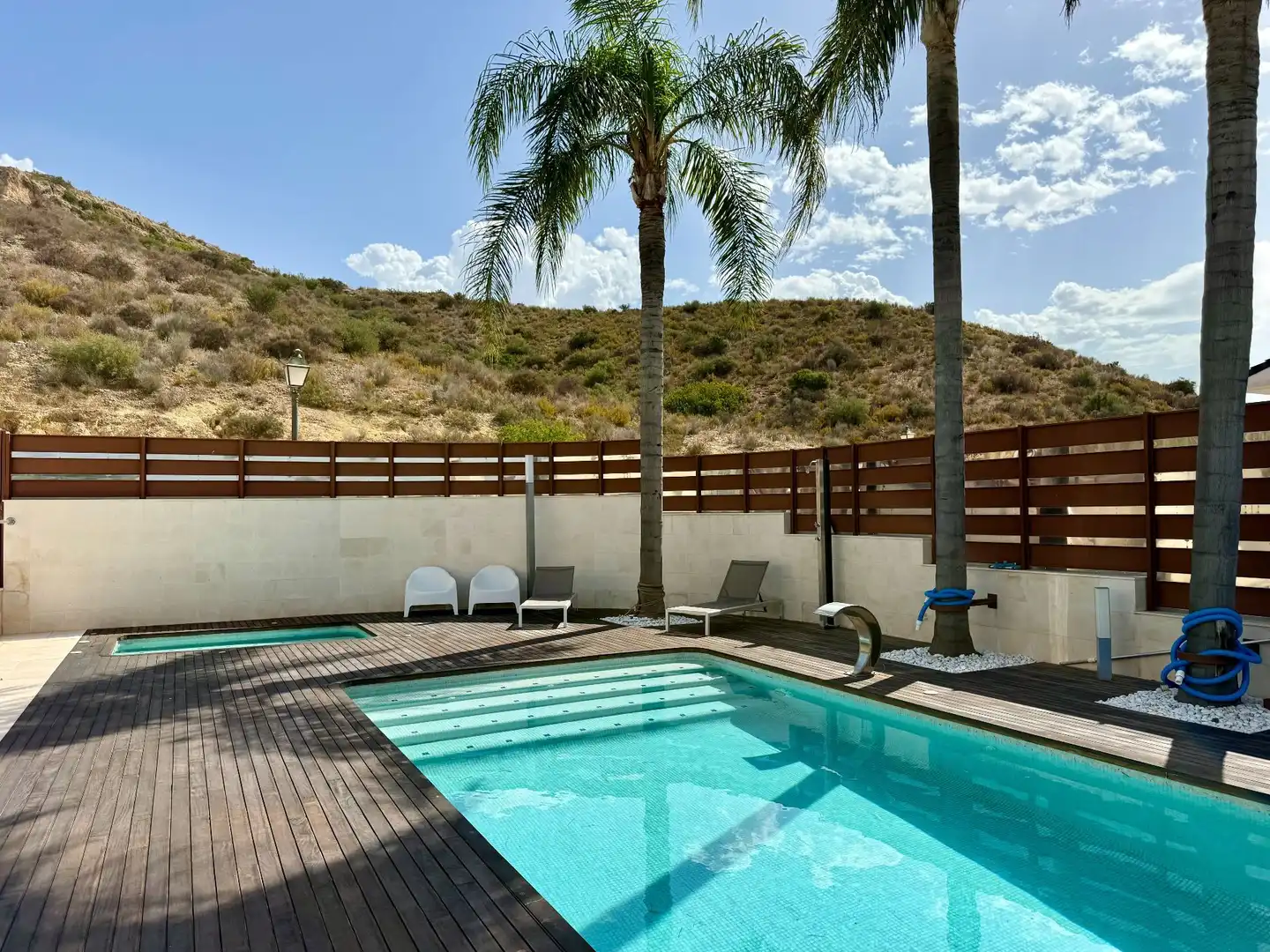 Casa amb piscina en venda a La Alcayna, imagen 4