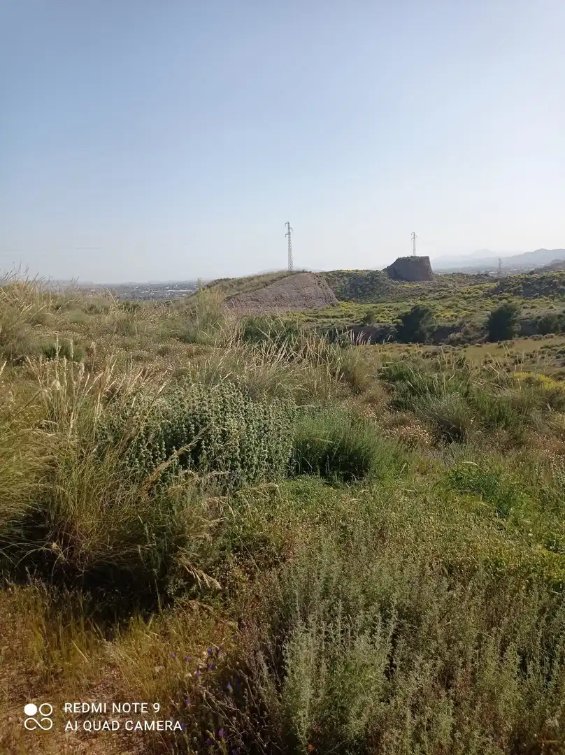 Terrains et parcelles à vendre à Pedanías Centro, imagen 16