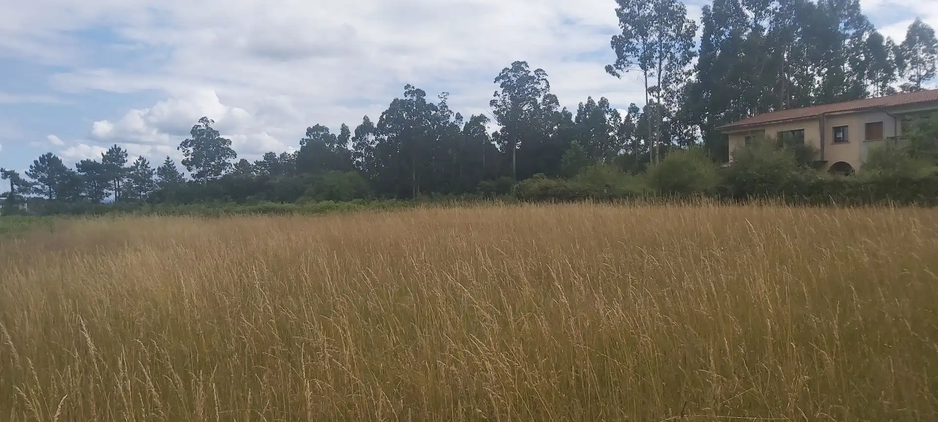 Lands and plots for sale in Castelao, imagen 3