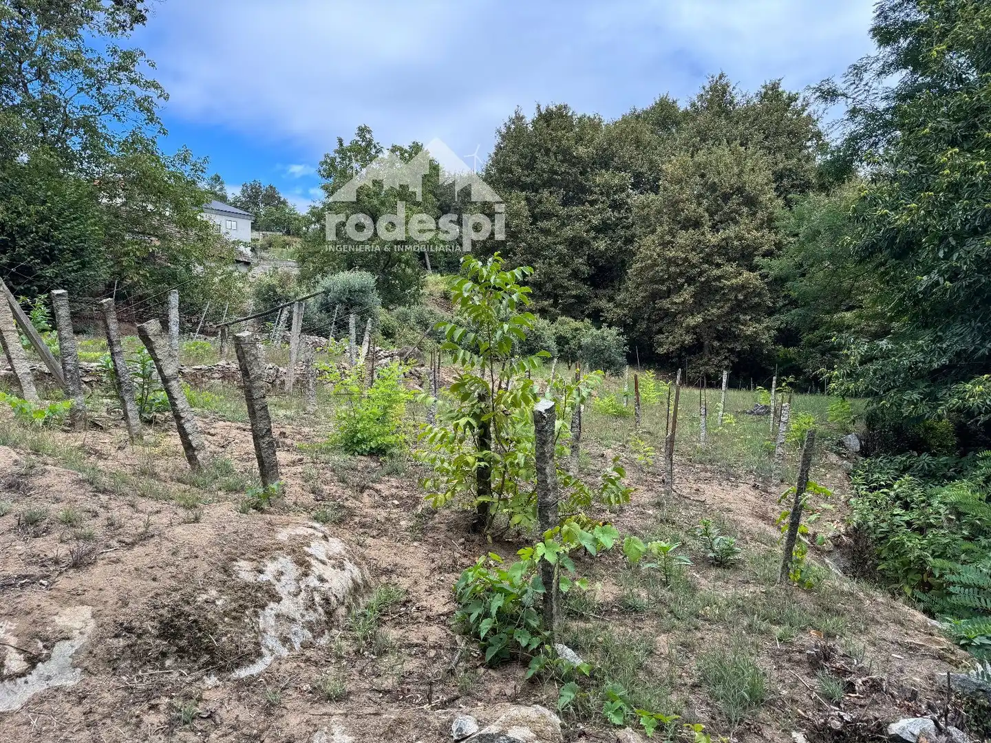 Others for sale in Cortegada, imagen 21
