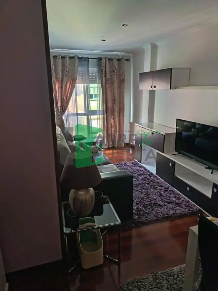 Sala d'estar de Pis de lloguer en Ourense Capital  amb Calefacció i Moblat