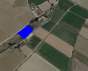 Land for sale in Tauste