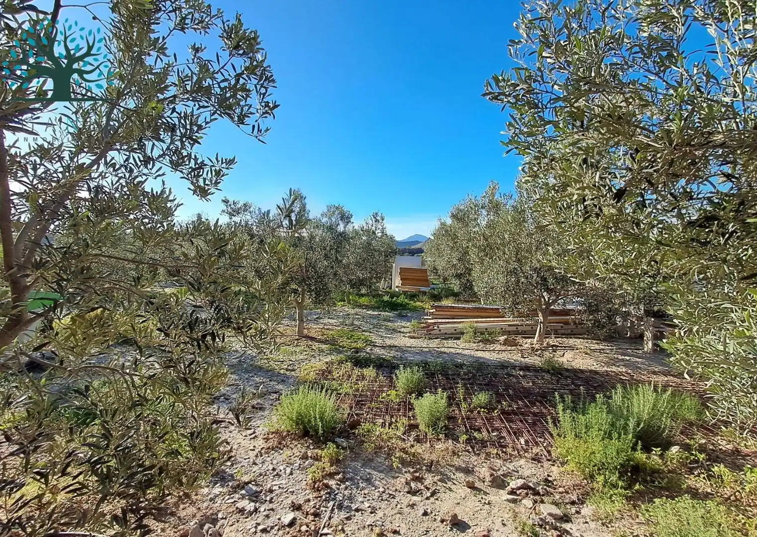 Casa con piscina en venta en EL ALGARROBO, imagen 29