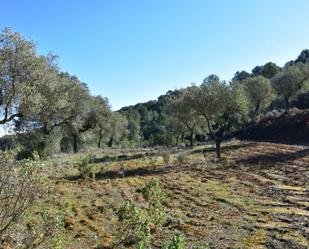 Finca rústica en venda en Arens de Lledó