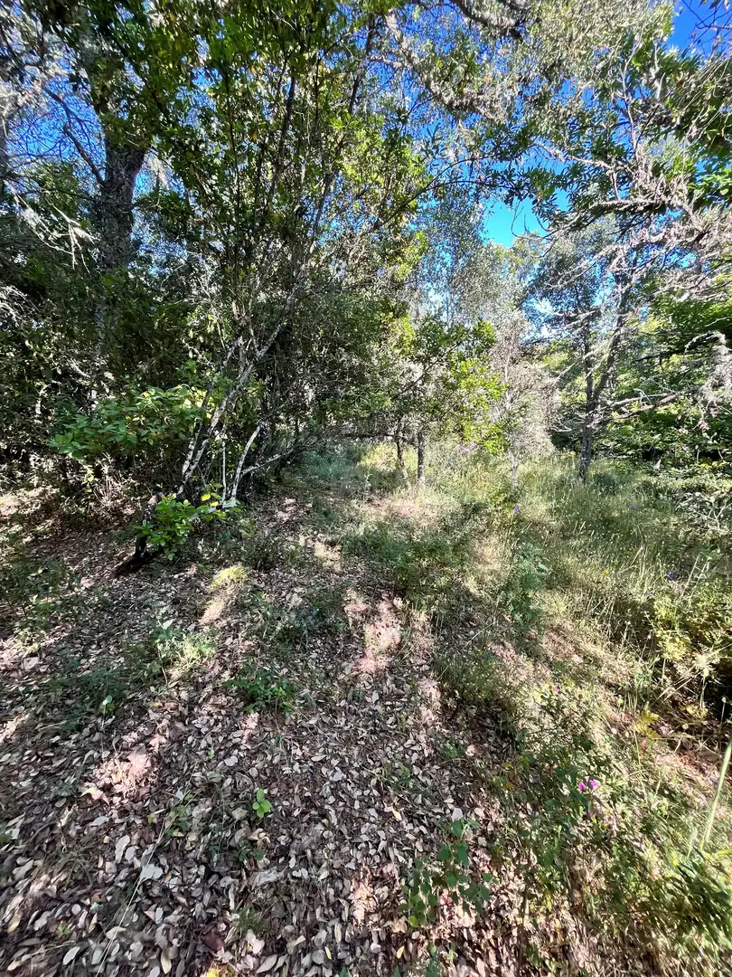 Residential for sale in Fuenteheridos