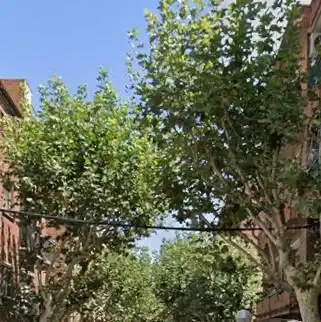Piso con ascensor en venta en RAFAEL CASANOVA