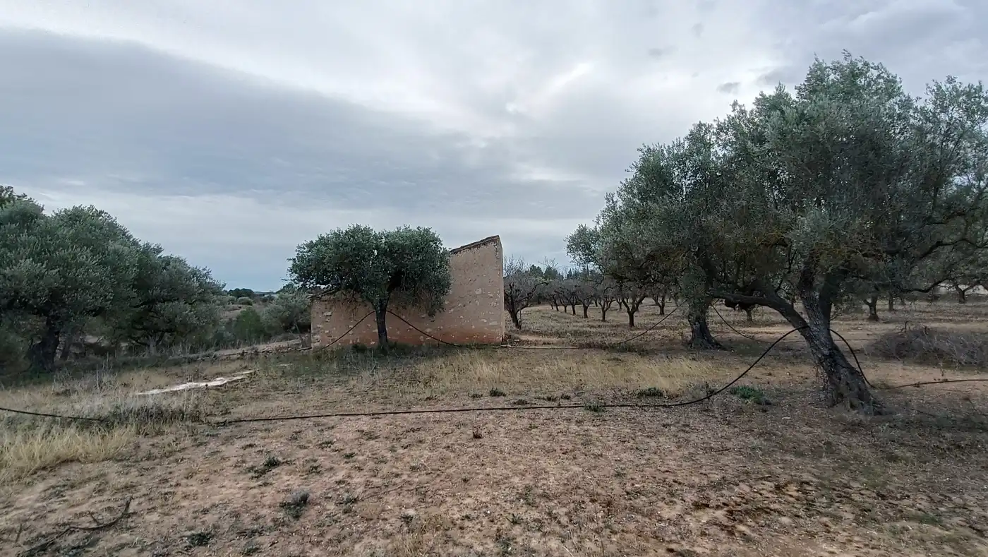 Terrain rustique à vendre à Rasquera, imagen 14