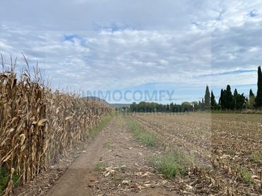 Rural land for sale in Poligono 12 Paraje 205 La Bolleria