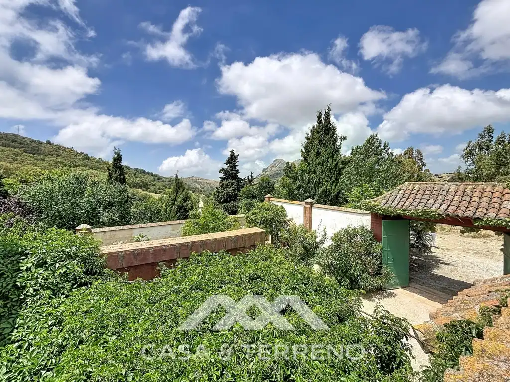 Vista exterior de Casa o chalet en venta en Alhama de Granada con Terraza