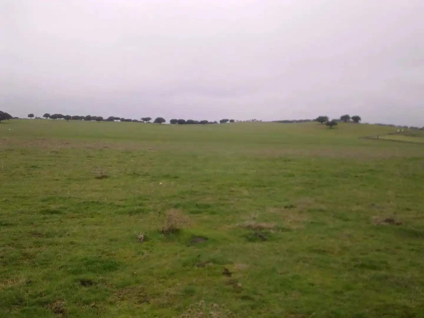 Land for sale in Vistahermosa
