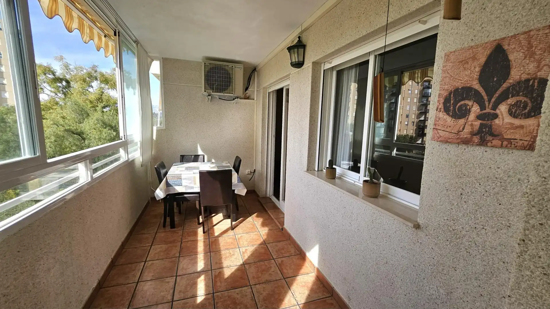 Apartments for rent in Playa Muchavista