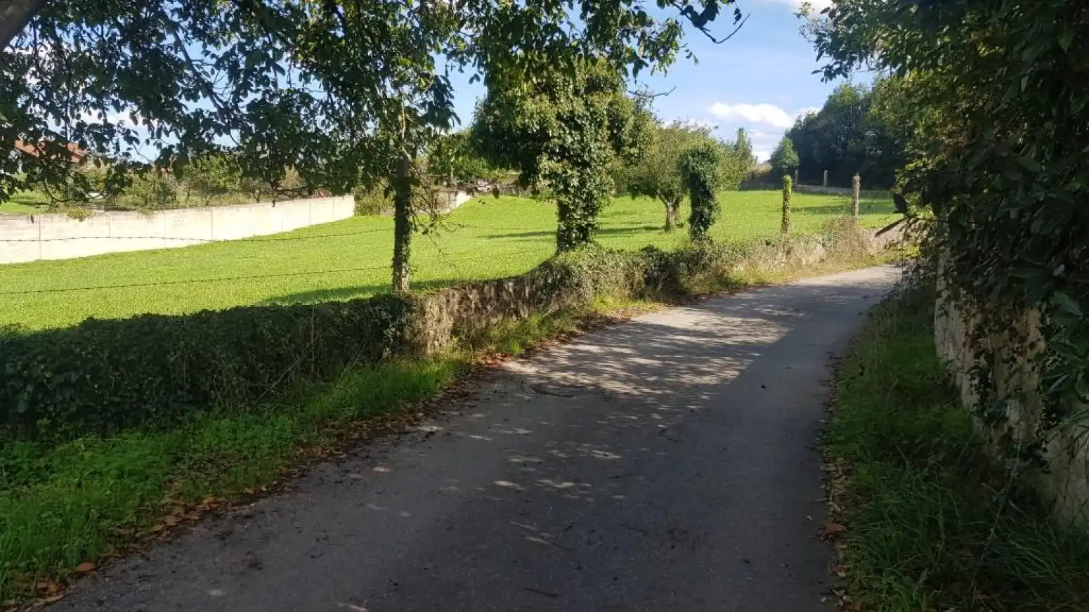 Residential land for sale in San Miguel - SAN MIGUEL DE LA BARRERA, imagen 8