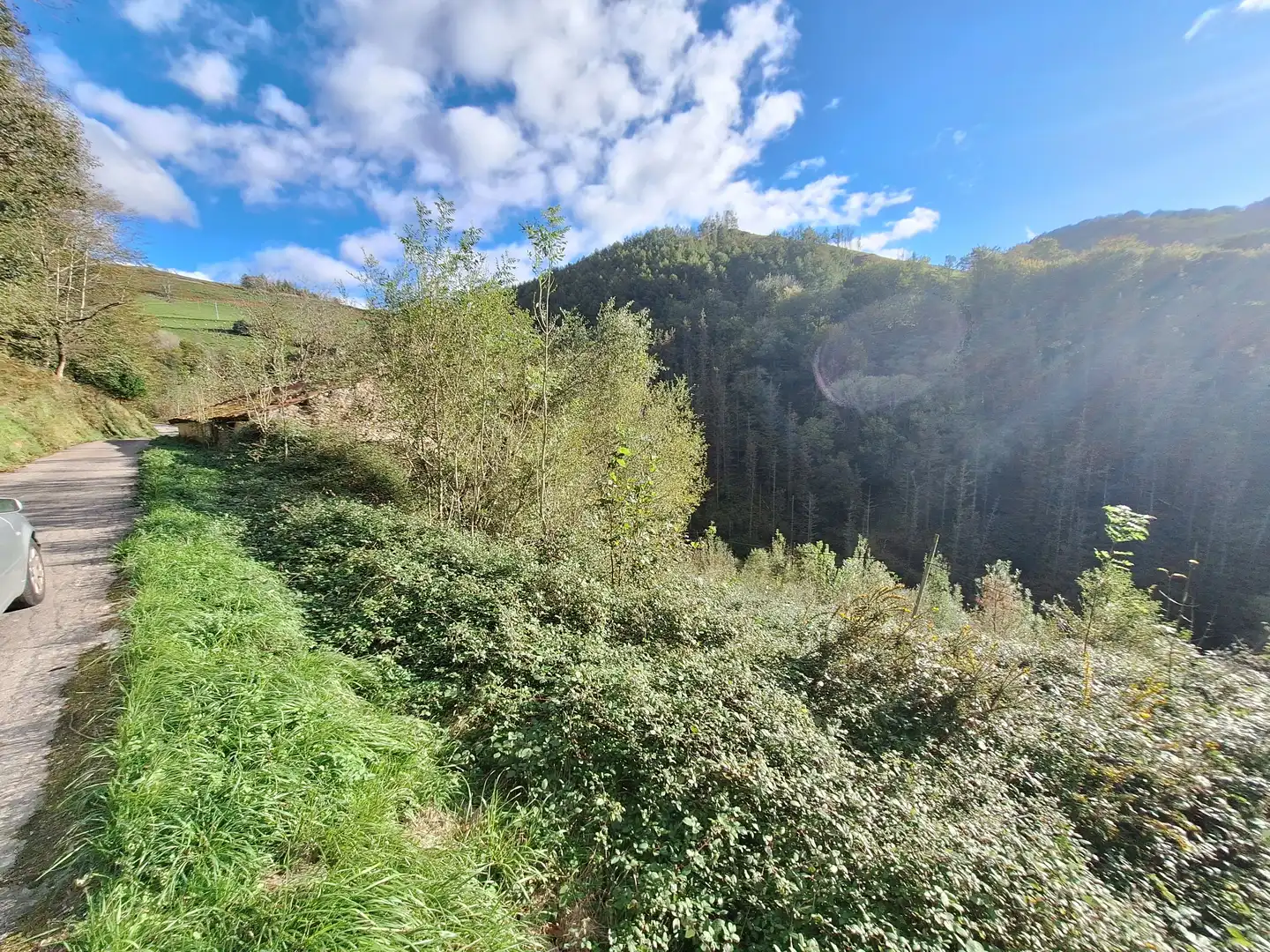 Country homes for sale in Deba