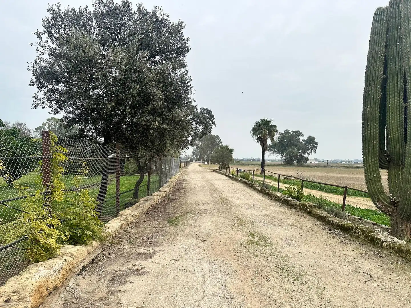 Finca rústica en venda a Villarrubia