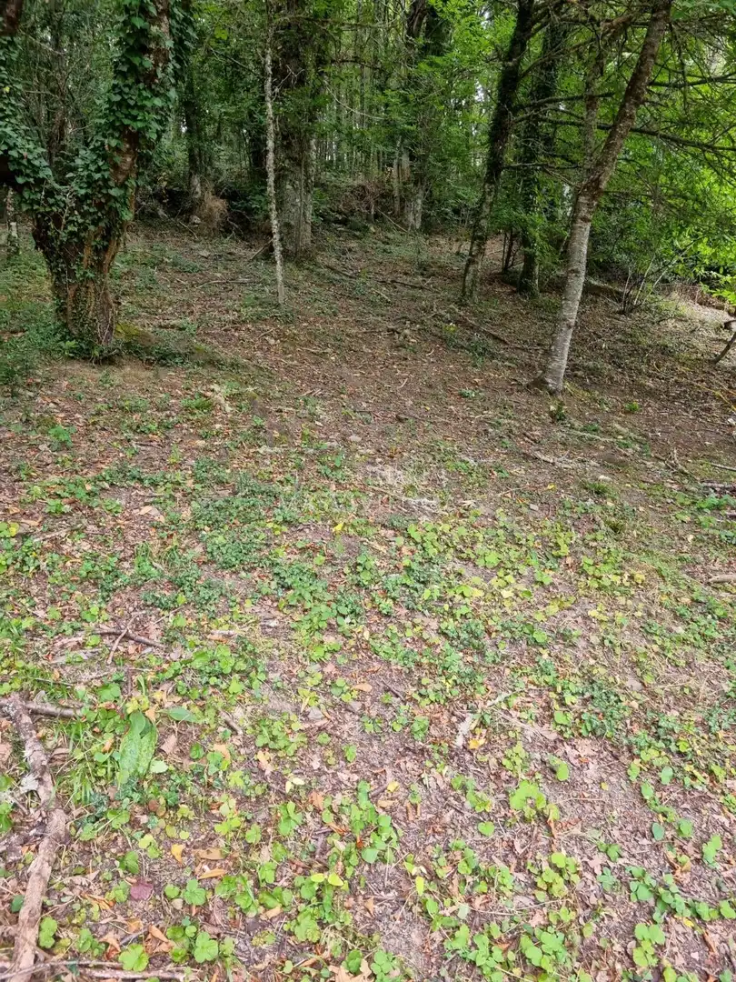 Casa o xalet en venda en A Pobra do Brollón  amb Jardí privat