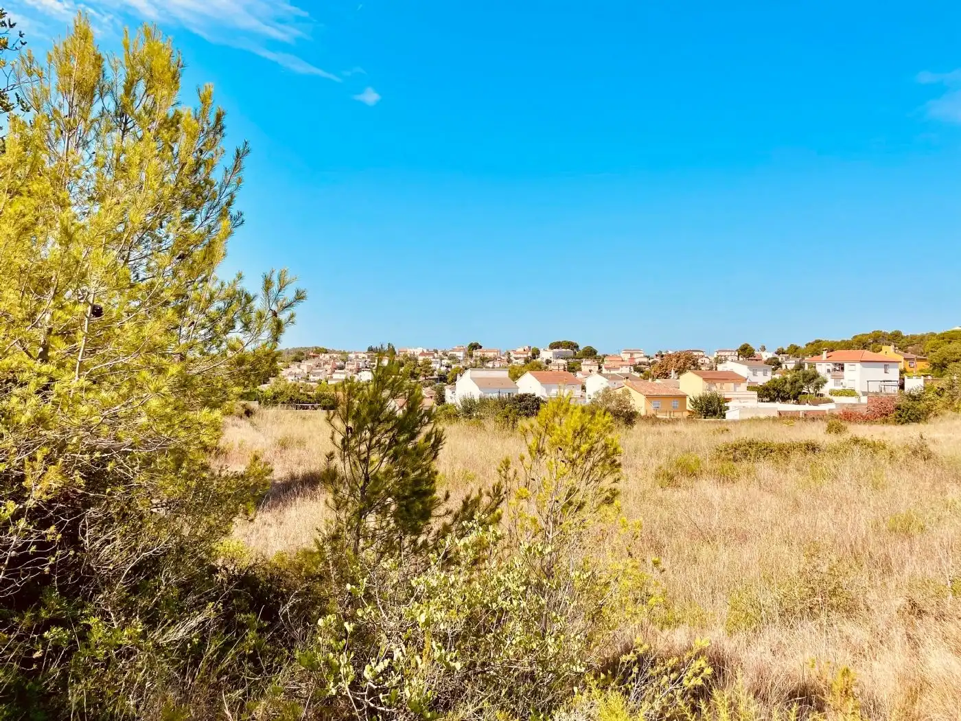 Rural land for sale in Calle Piscina 3305, imagen 15