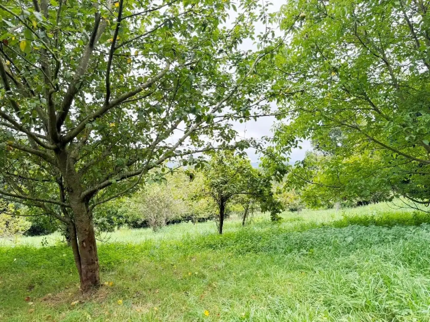 Casa o xalet en venda en Torrelavega  amb Calefacció, Jardí privat i Traster
