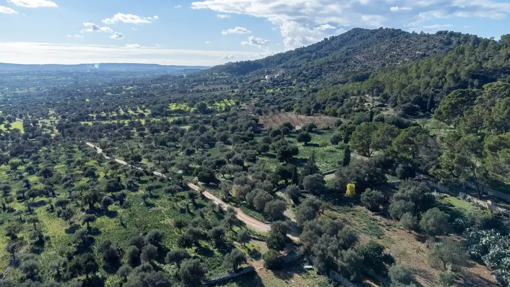 Casa rústica amb piscina en venda a Binissalem, imagen 28