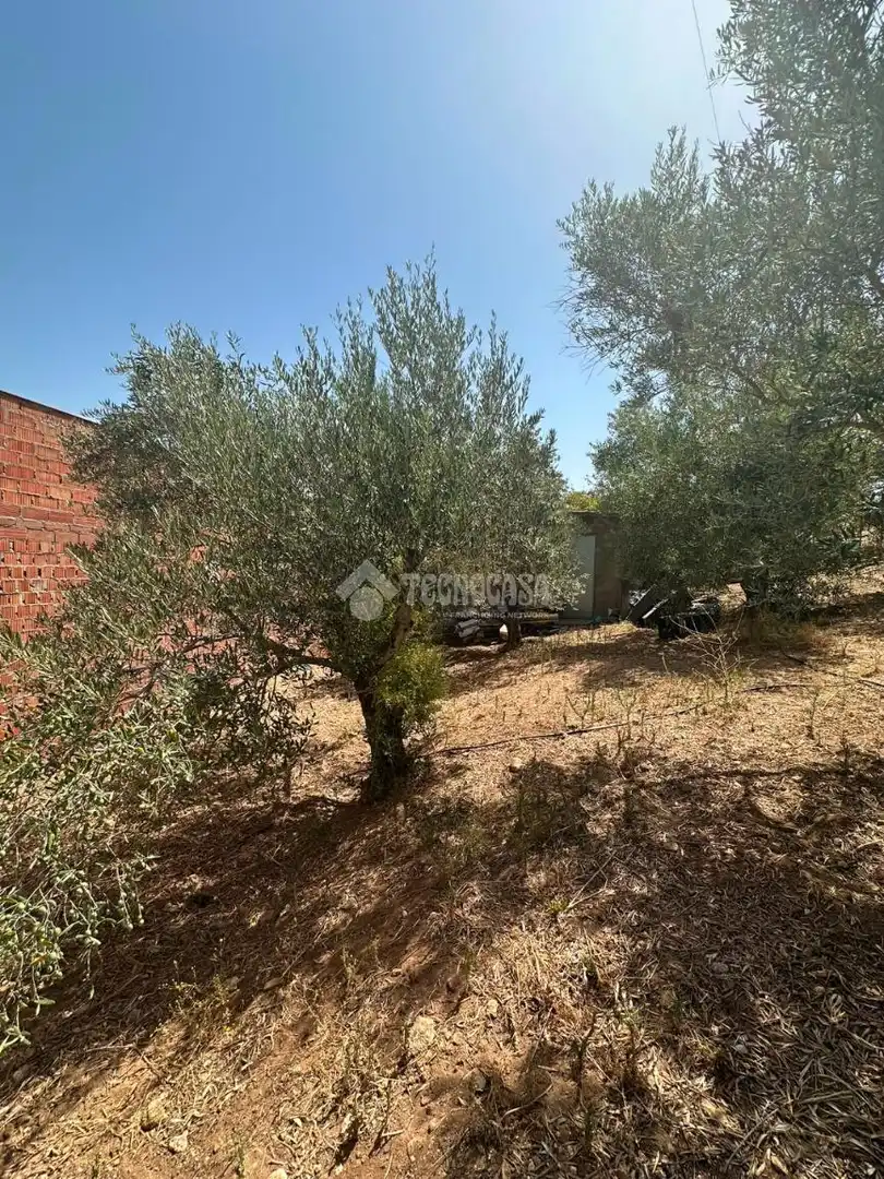 Casa rústica en venda a Arcos de la Frontera, imagen 9