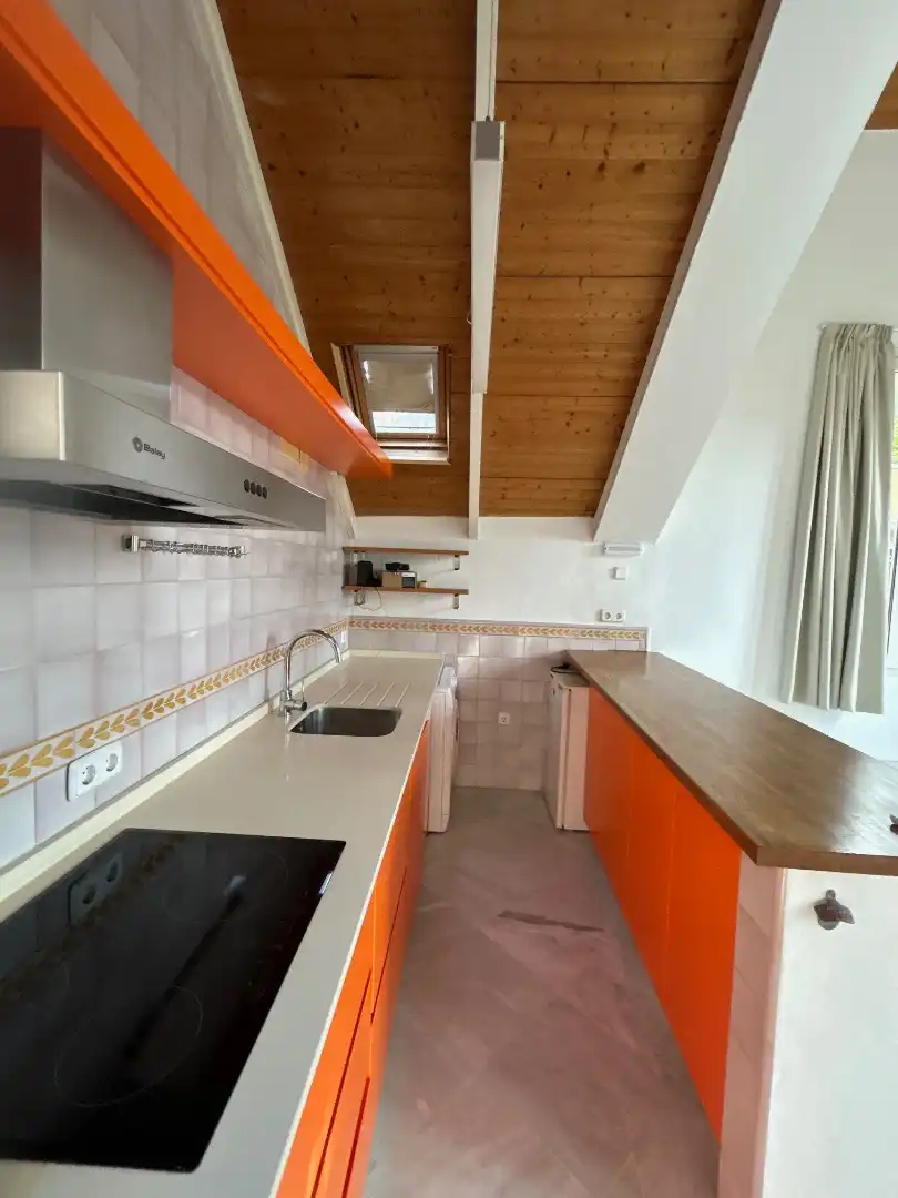 Cuina de Loft de lloguer en Sevilla amb Aire condicionat, Calefacció i Terrassa