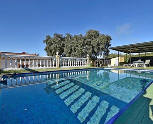 Swimming pool of Country house for sale in Ronda  with Terrace