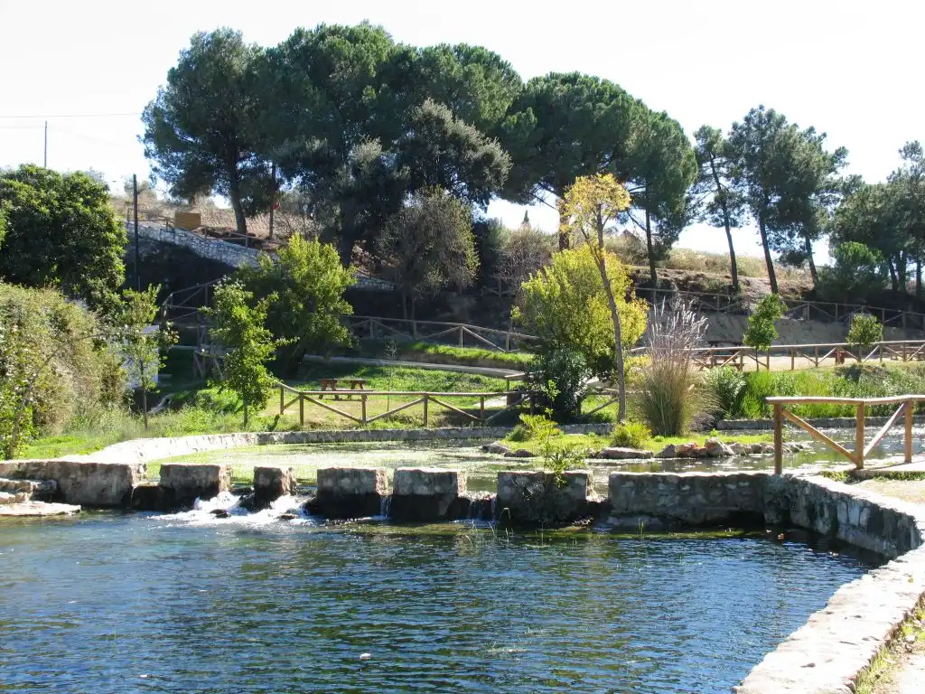 Jardín de Casa o chalet en venta en Coín con Aire acondicionado, Calefacción y Terraza